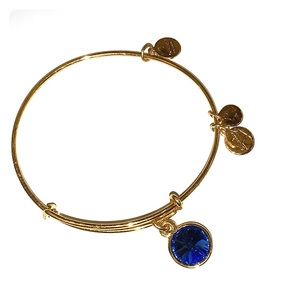 Alex and Ani birth stone bracelet